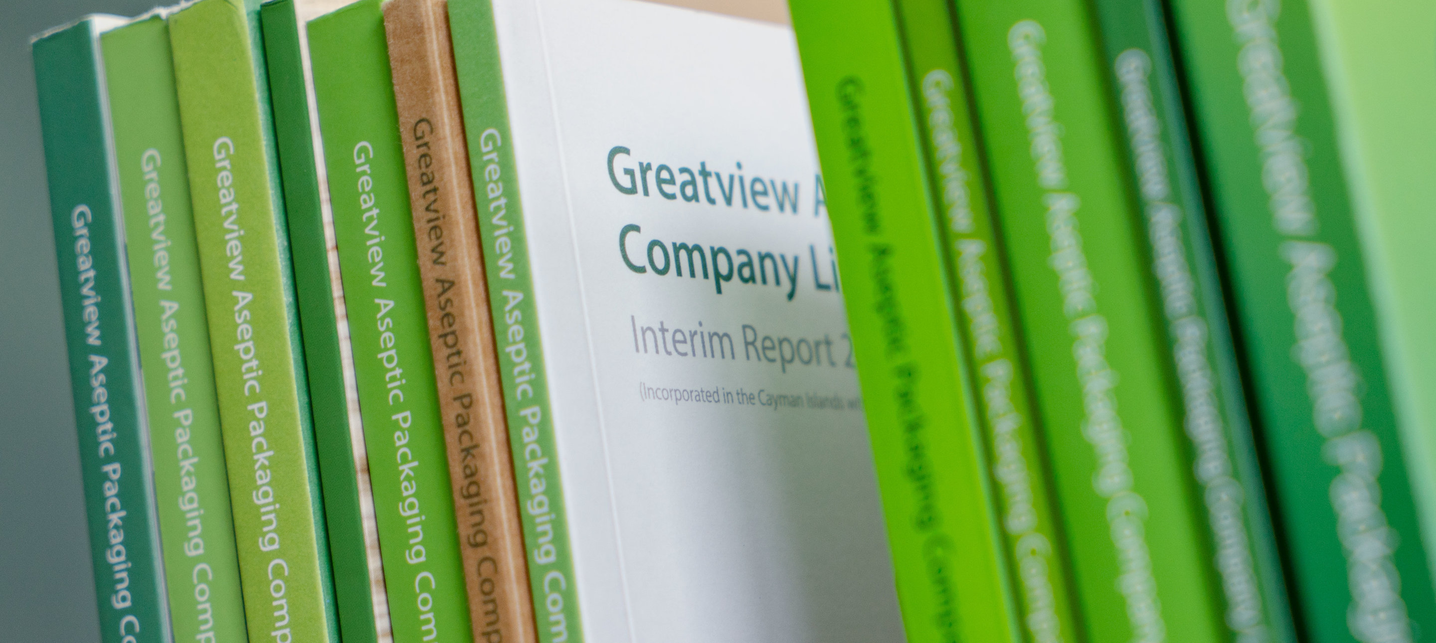 Annual report/interim report